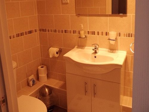 מריפורט The Golden Lion Hotel מראה חיצוני תמונה